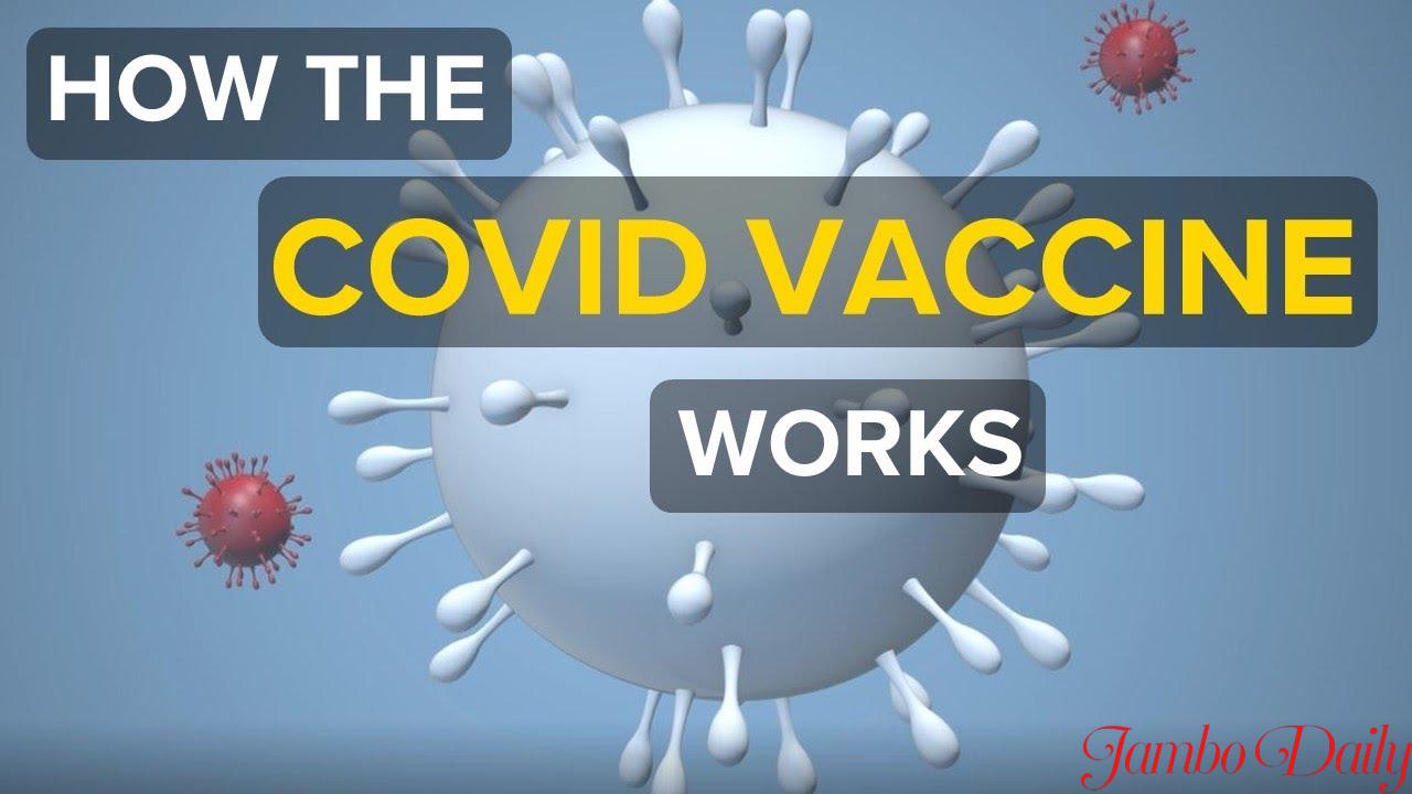 How Covid-19 Vaccine Works