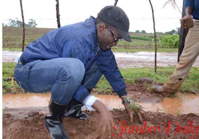 Ezra Chiloba Farming