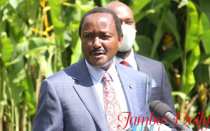 Kalonzo Musyoka Biography