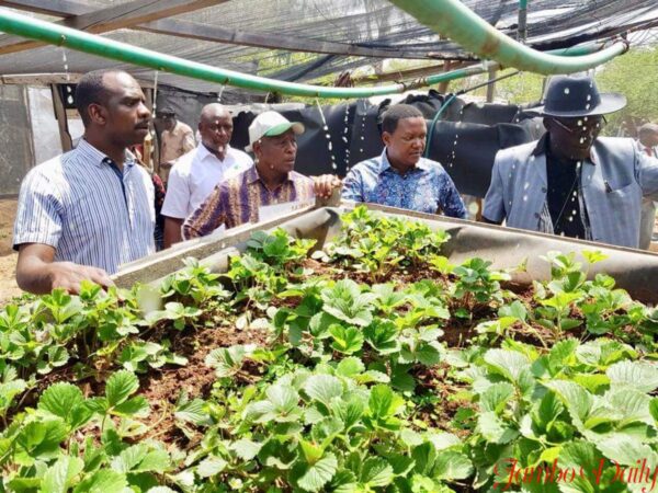 Alfred Mutua