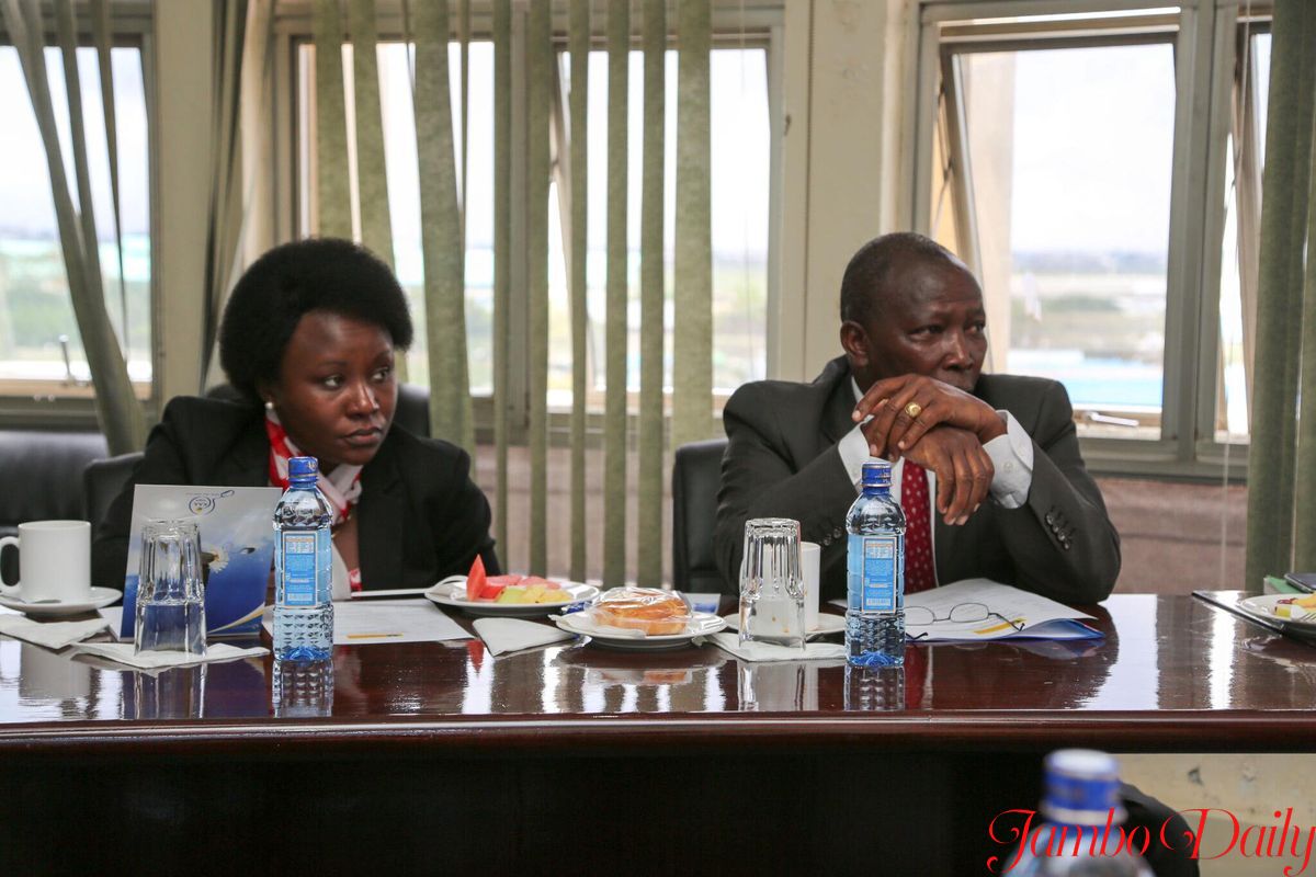 Maina Kamanda