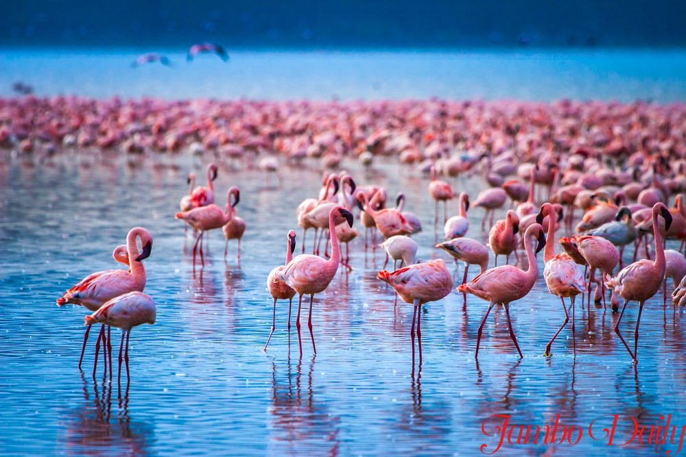 BEST TOURIST DESTINATIONS