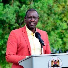 Businesses owned by William Ruto