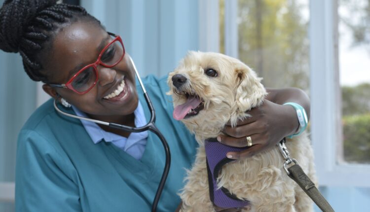 how to become a Veterinary Doctor in Kenya