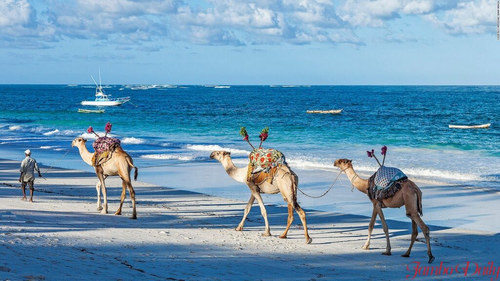 Top Ten Best Beaches in Kenya
