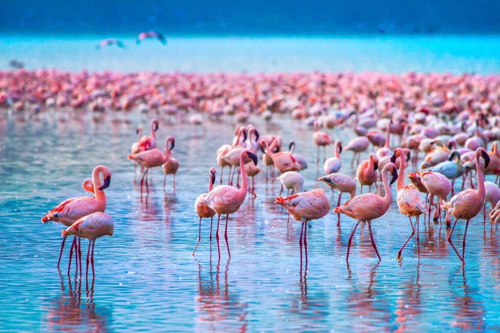 Top rated tourist attractions in Kenya