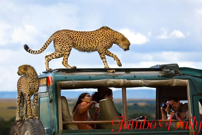 Best vacation ideas for families in Kenya