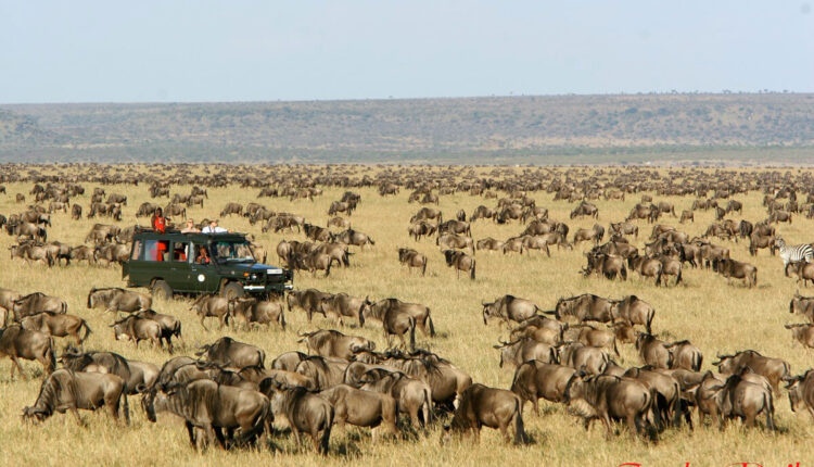 Best vacation ideas for families in Kenya