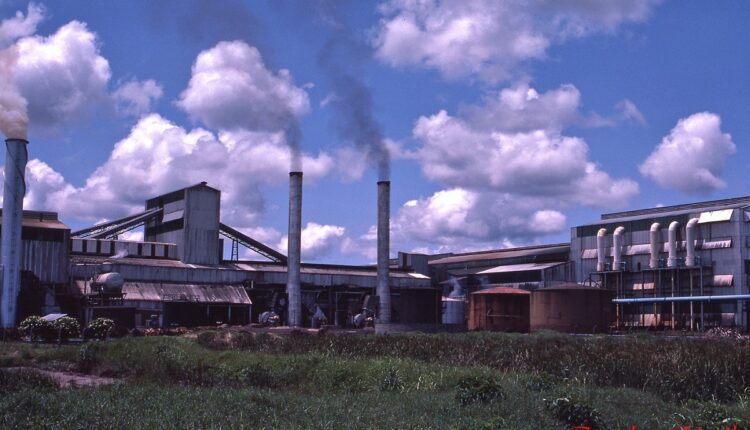 sugar manufacturing companies