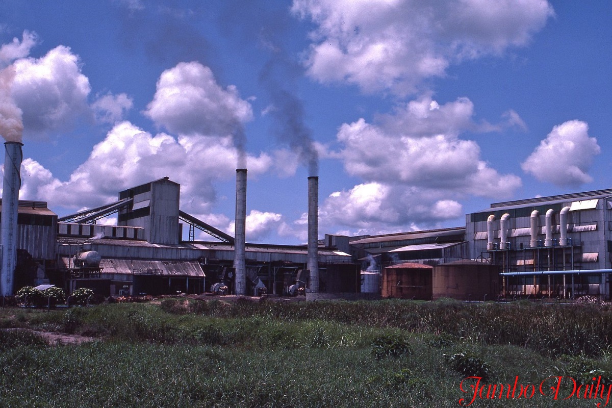 sugar manufacturing companies
