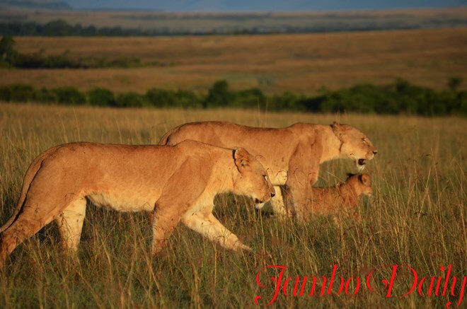 National Reserves in Kenya