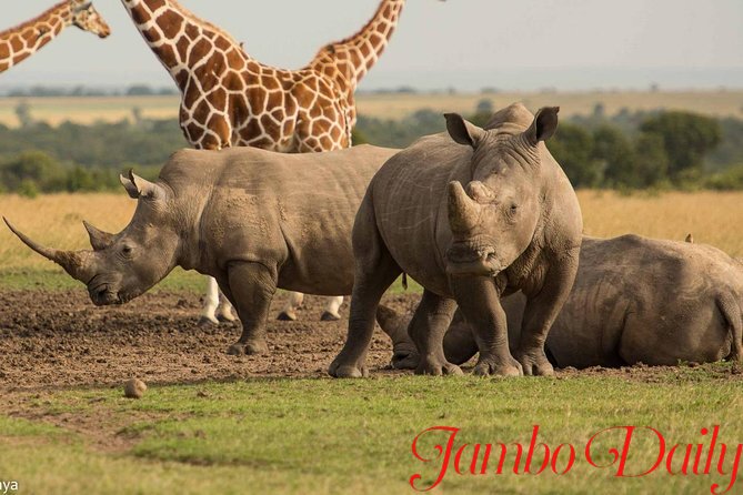 Ol Pejeta Conservancy