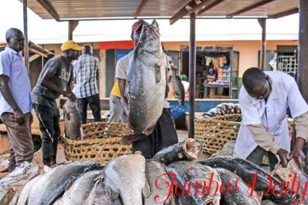 top fish exporters