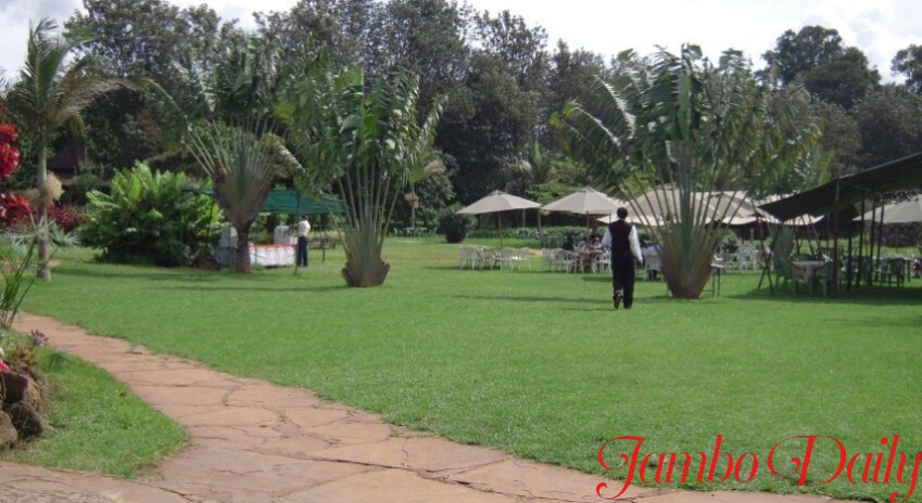 Best Picnic places in Nairobi