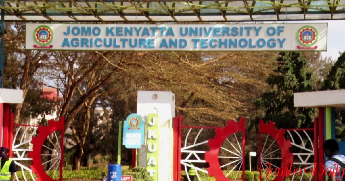 phd programs jkuat