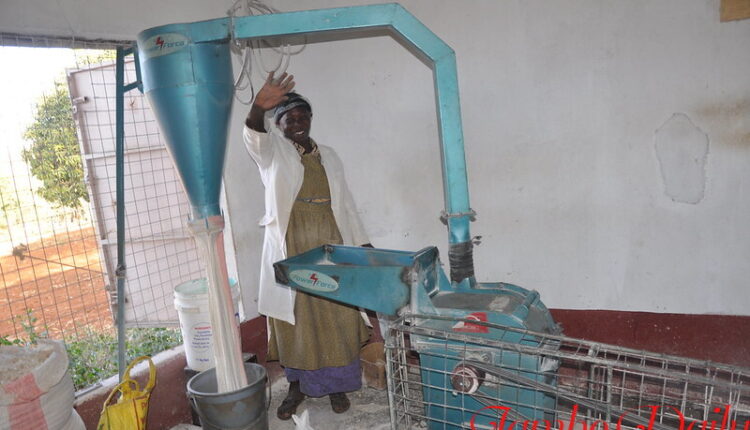 Maize Milling Business