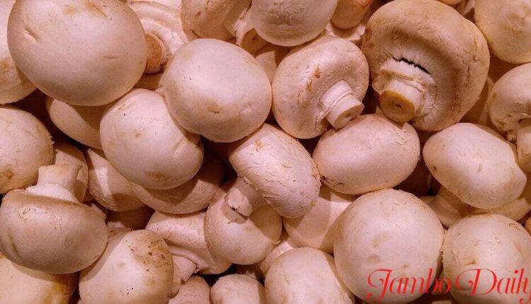 Buy Mushrooms in Nairobi