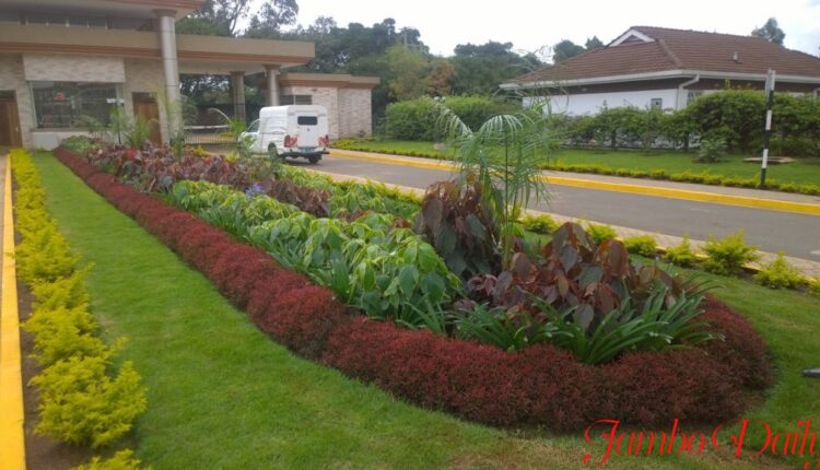 Landscaping Business in Kenya