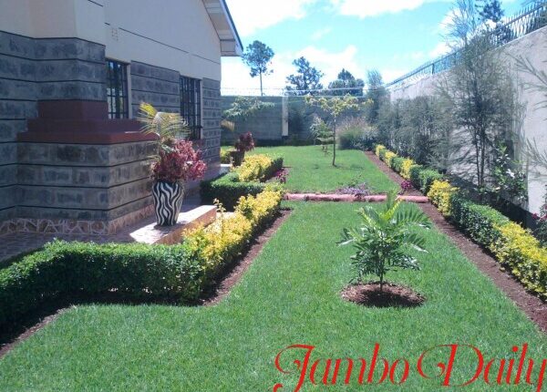 Landscaping Business in Kenya