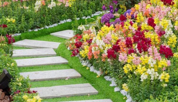 Landscaping Business in Kenya