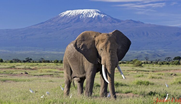 Kajiado County