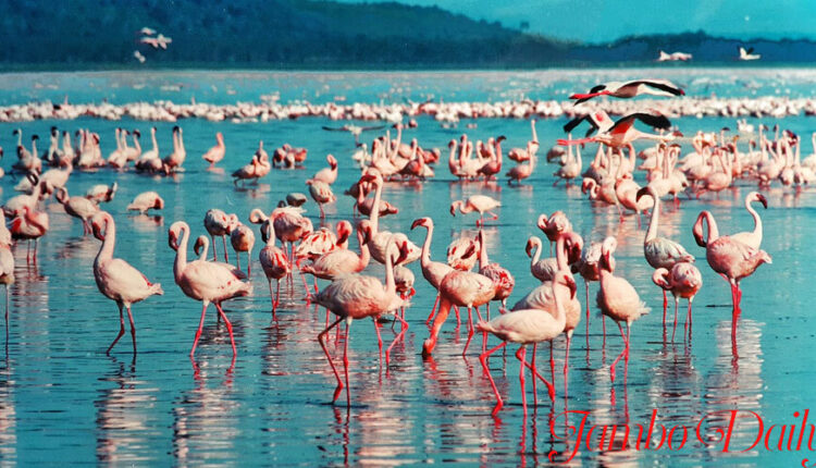Baringo County