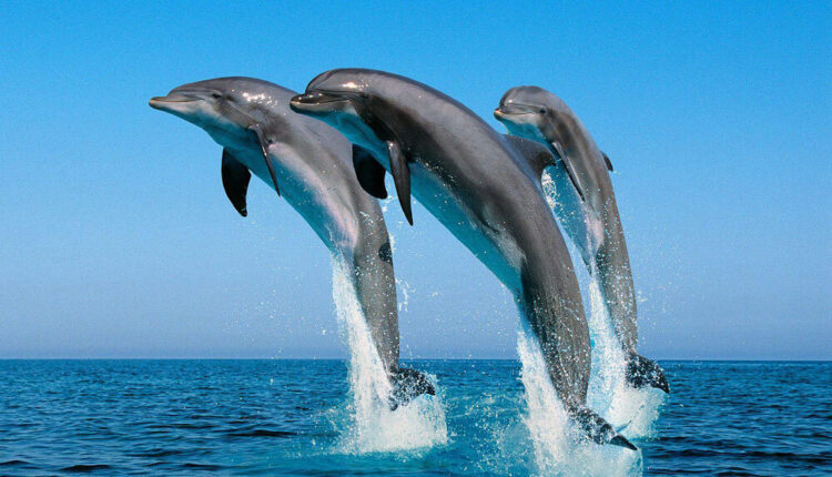 Kwale County