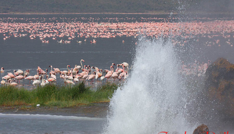 Baringo County