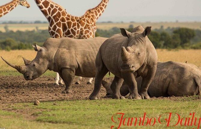 Laikipia County