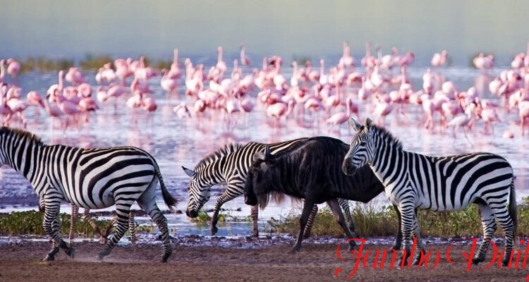 Nakuru County