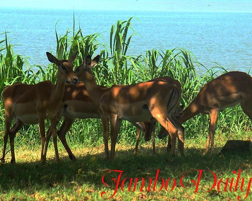 Kisumu County