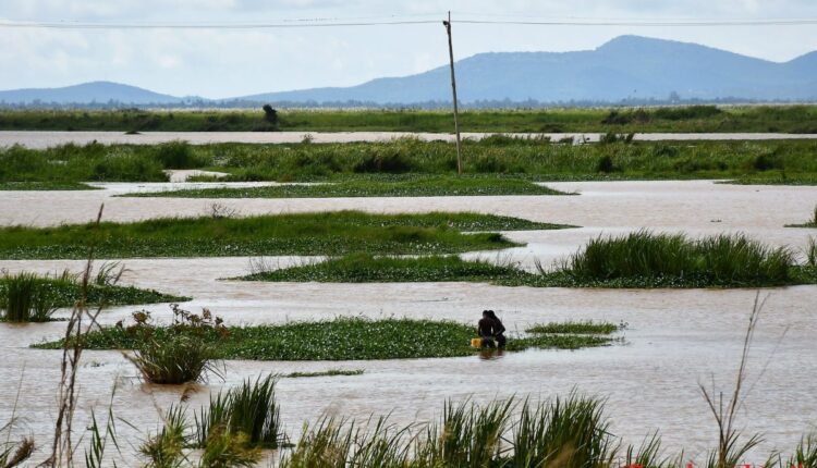 Busia County