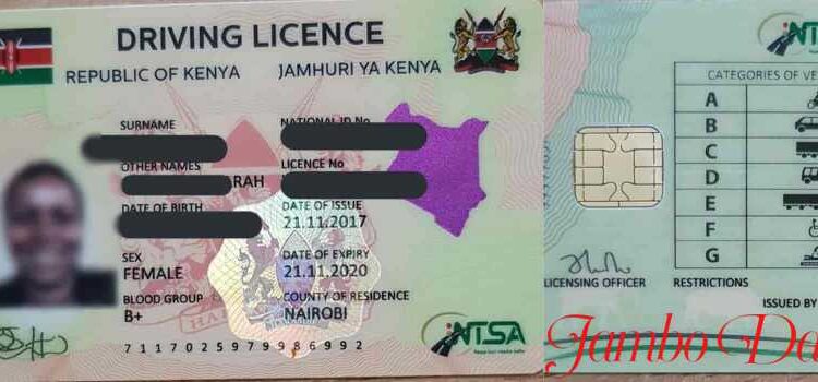 smart driving license