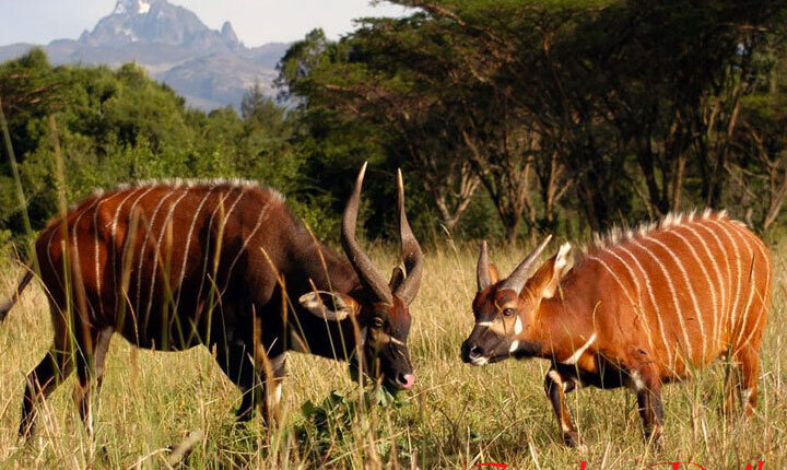 West Pokot County