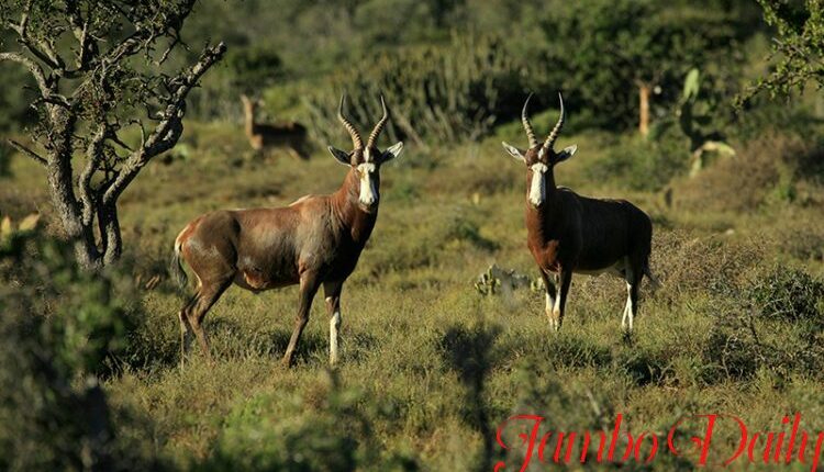 Trans Nzoia County