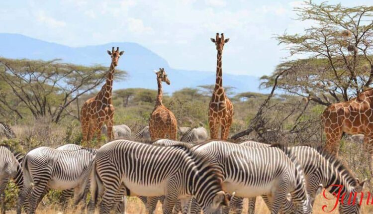 Samburu County