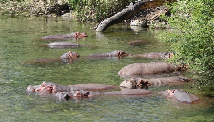 Taita Taveta County