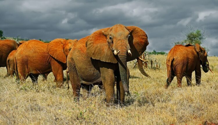 Taita Taveta County