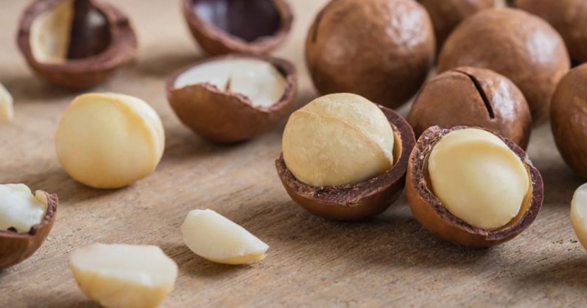 Who Owns Kenya Nut