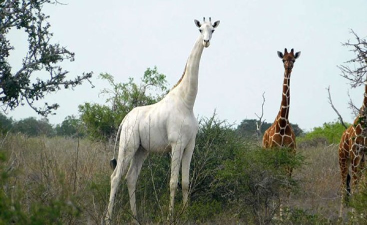 Garissa County