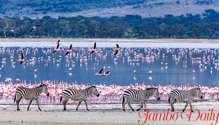 Oxbow Lakes in Kenya