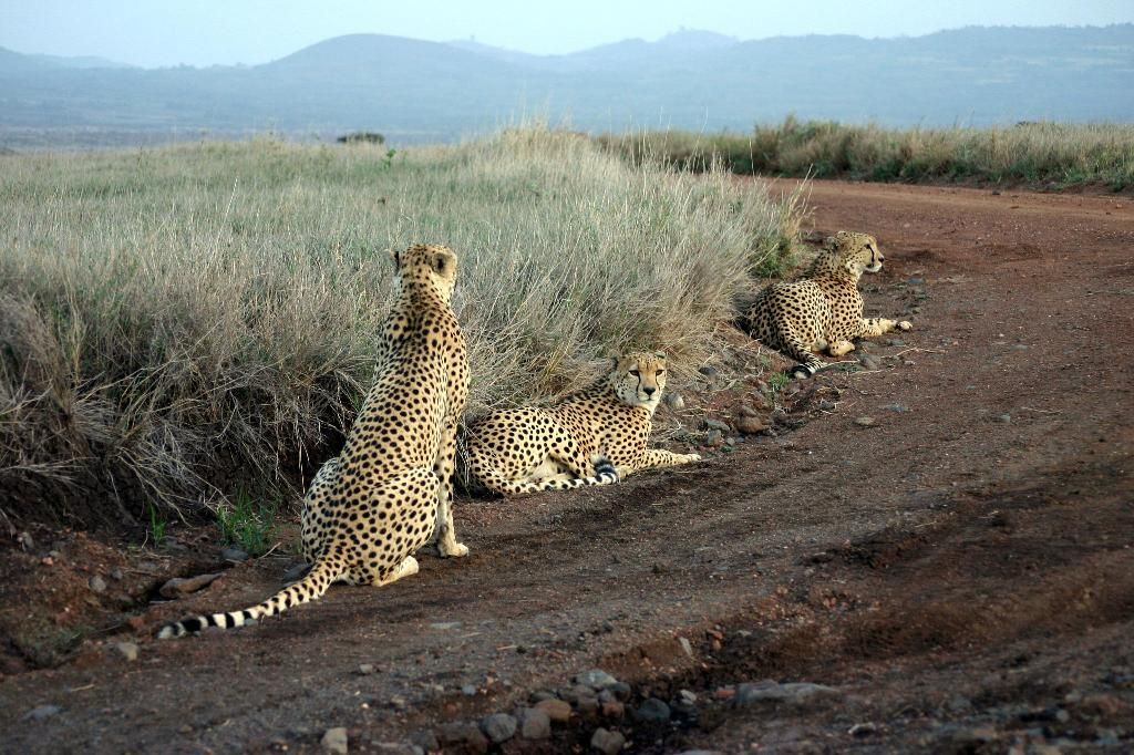 Mandera County