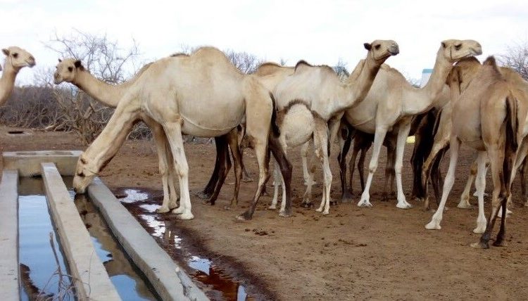 Wajir County