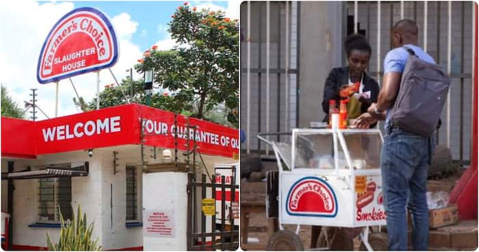 Industrial Promotion Services