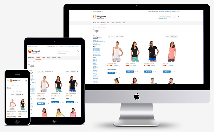 Start a Magento Website