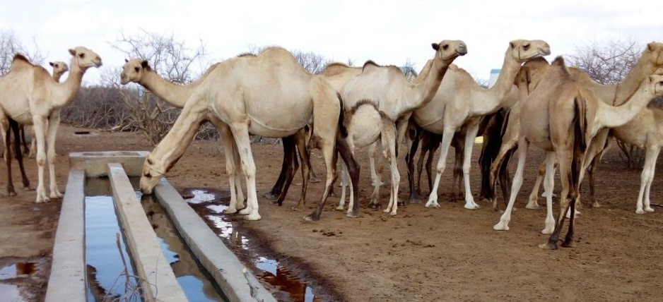 Nairobi to Wajir County