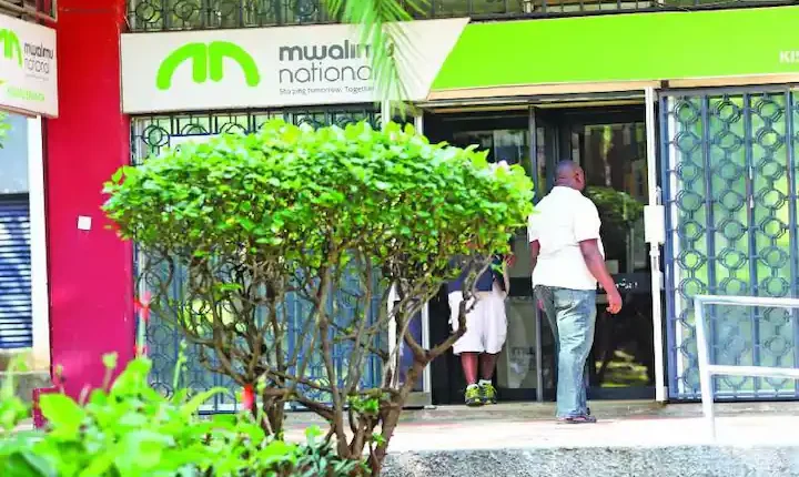 Mwalimu Sacco Loans