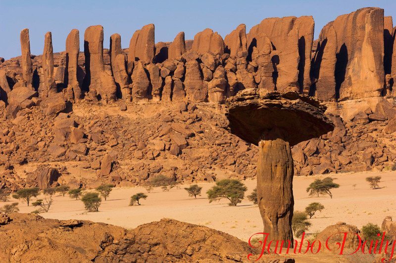 How to Get a Chadian Visa from Kenya