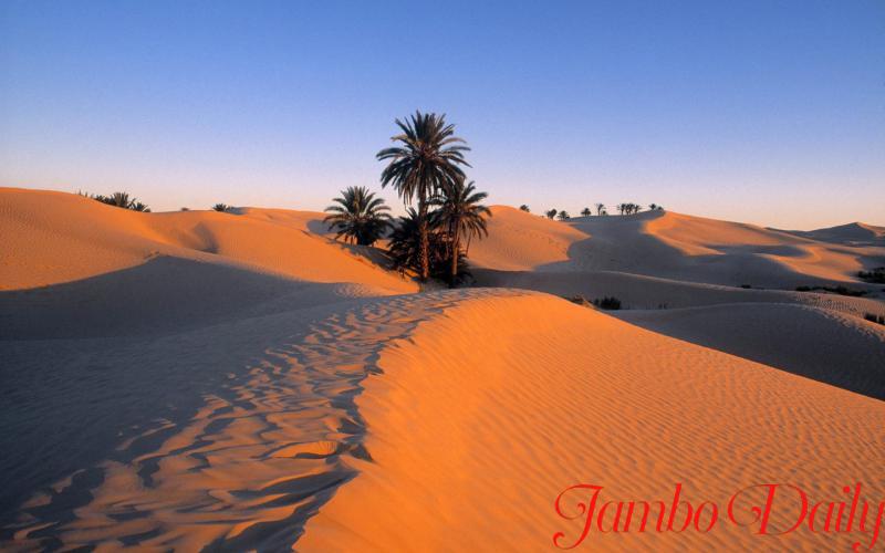 How to Get an Tunisian Visa from Kenya
