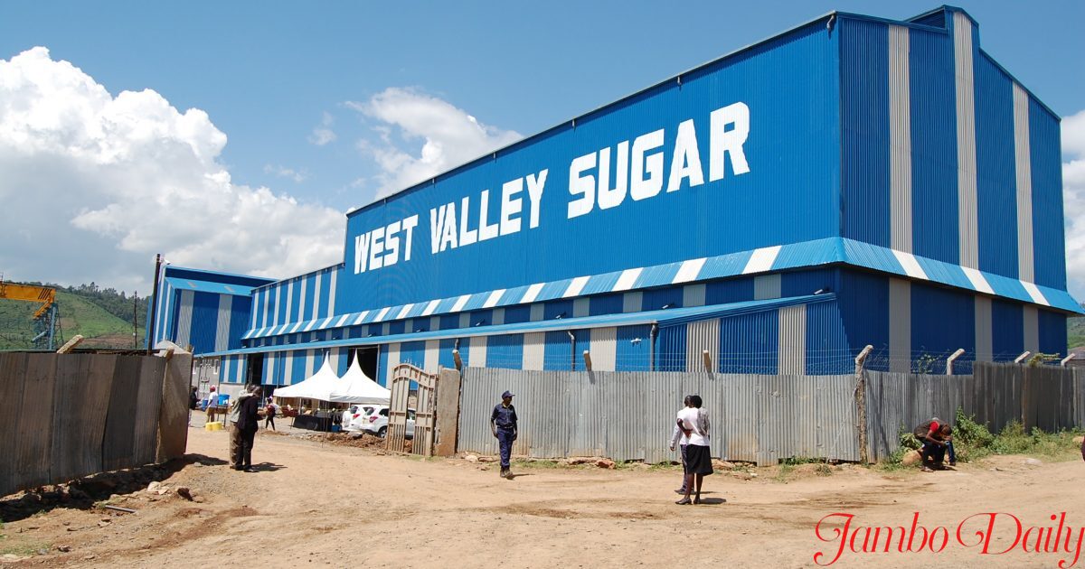 Who owns West Valley Sugar Company? Location and Contact Details